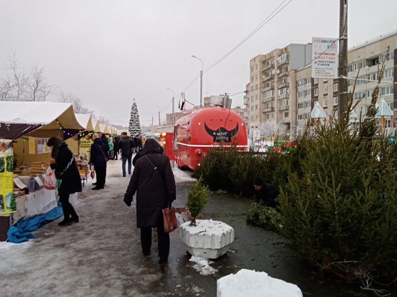 В Гатчине открылась "Новогодняя ярмарка"